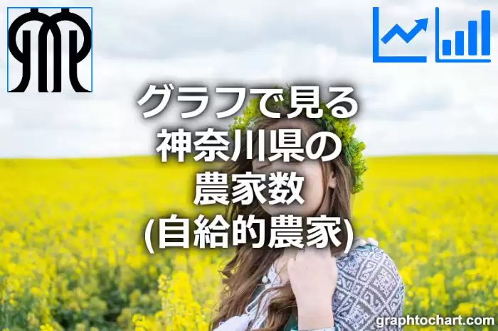 グラフで見る神奈川県の農家数（自給的農家）は多い？少い？(推移グラフと比較)