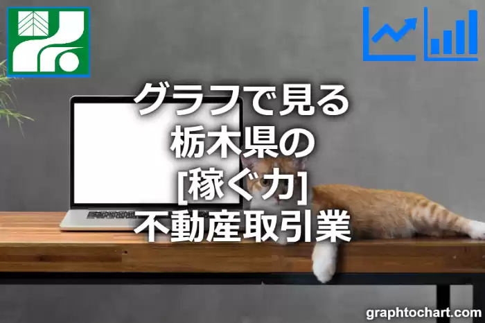 グラフで見る栃木県の不動産取引業の「稼ぐ力」は高い？低い？(推移グラフと比較)