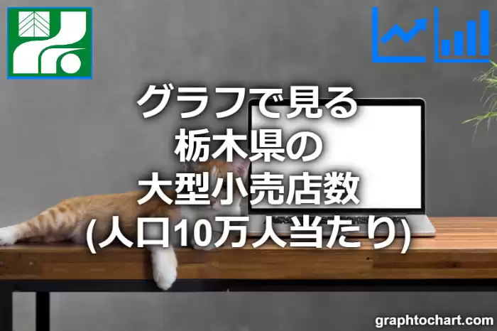 グラフで見る栃木県の大型小売店数（人口10万人当たり）は多い？少い？(推移グラフと比較)