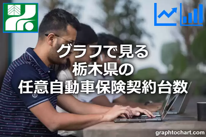 グラフで見る栃木県の任意自動車保険契約台数は多い？少い？(推移グラフと比較)