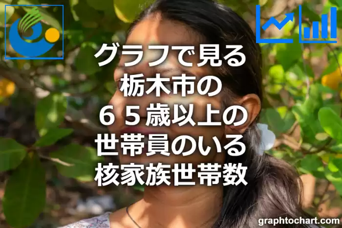 グラフで見る栃木市の６５歳以上の世帯員のいる核家族世帯数は多い？少い？(推移グラフと比較)