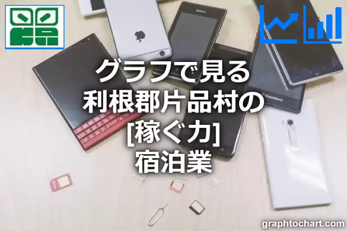 グラフで見る利根郡片品村の宿泊業の「稼ぐ力」は高い？低い？(推移グラフと比較)