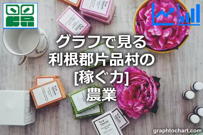 グラフで見る利根郡片品村の農業の「稼ぐ力」は高い？低い？(推移グラフと比較)