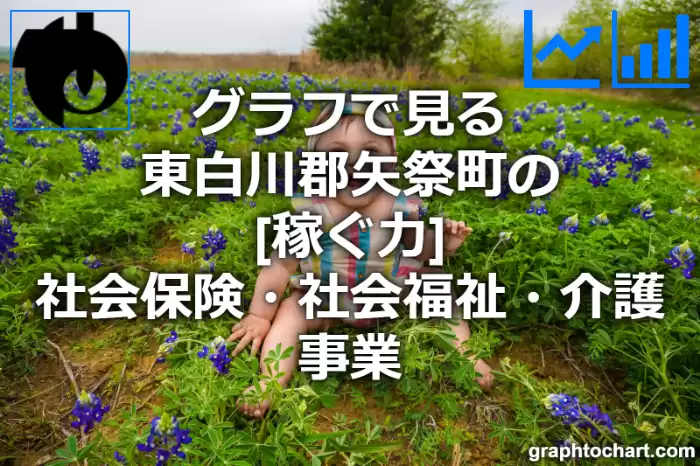 グラフで見る東白川郡矢祭町の社会保険・社会福祉・介護事業の「稼ぐ力」は高い？低い？(推移グラフと比較)